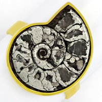 zum Artikel Ammonit Versteinerung in Handarbeits-Goldring, S5421