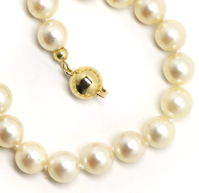 Foto 2 - Choker Akoya Perlenkette 39cm mit 14K Goldschloß, S9225