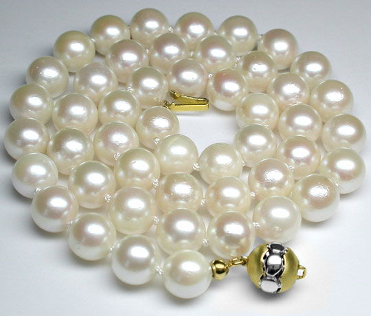 Akoya Perlenkette, Akoja Zuchtperlen, Salzwasser Meeres-Perlen